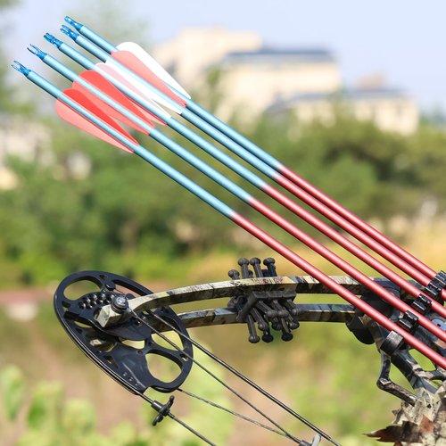 MOYJ Mixed Carbon Arrow Archery Practice Shooting 3 inch Plastic Vanes Fletching Removable Replaceable Broadhead Tips Arrows12pcs Hunting Arrows I.D.6.2MM O.D.7.8mm Arrows for Bow