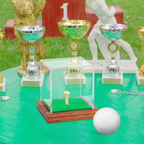 Clear Acrylic Golf Ball Display Case with Wood Base & Tee, Memorabilia Stand Cube Holder, Dust Protection Transparent Storage Box for Single Ball Souvenir Golfball Collections