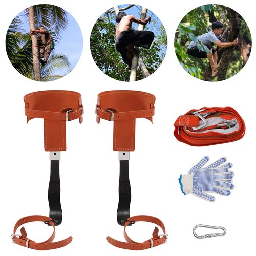AKSDSGA Tree Climbing Gear, Cowhide Leather Tree Climbing Spikes Set Height-Adjustable Tree Climbing Spurs, Safety Belt Gloves for Tree Work, Tree Trimming, Tree Cutting, Logging Hunting Picking Fruit