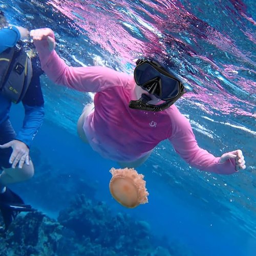 Snorkeling Gear for Adults, Dry-Top Snorkel Set Scuba Diving mask, 180°Panoramic Wide View Professional Snorkeling Gear Breathing Freely Snorkel Mask (Black+Pink)