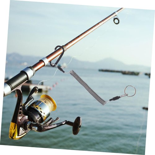 POPETPOP 2Pcs Protective Safety Rope Spring Coiled Fishing Lanyard with Carabiner Elastic Tether for Fishing Gear Durable Wire