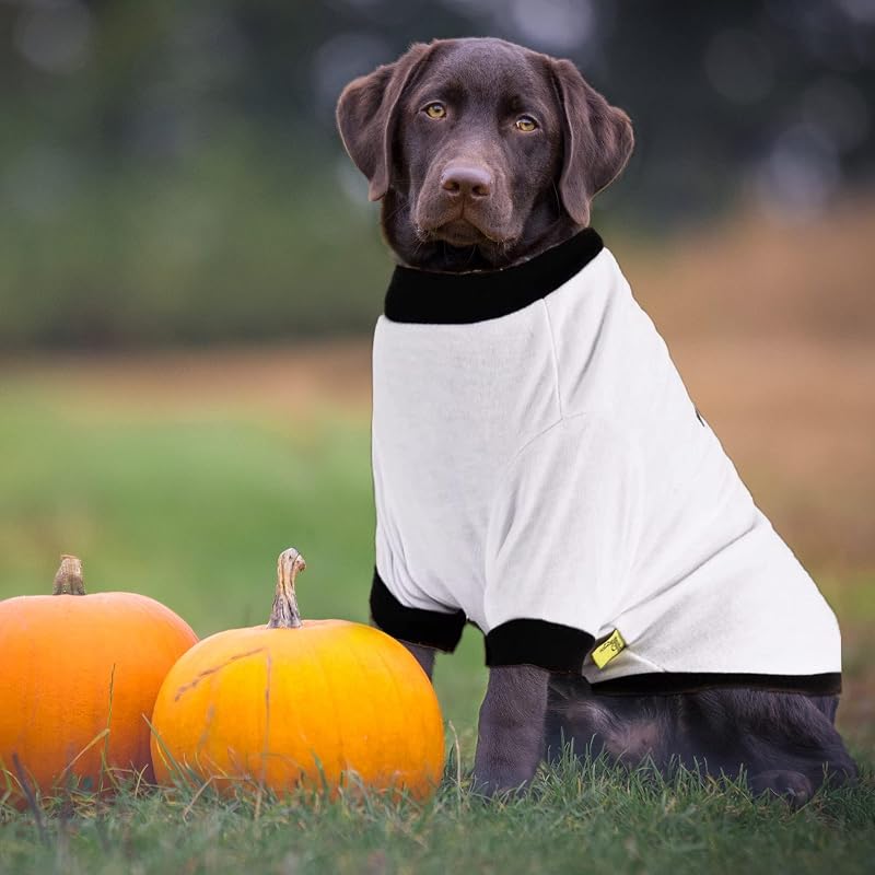 Variation of THIS listing: Halloween Dog Ghost Hoodie - Small/Medium Pets Costume Tee (Large)