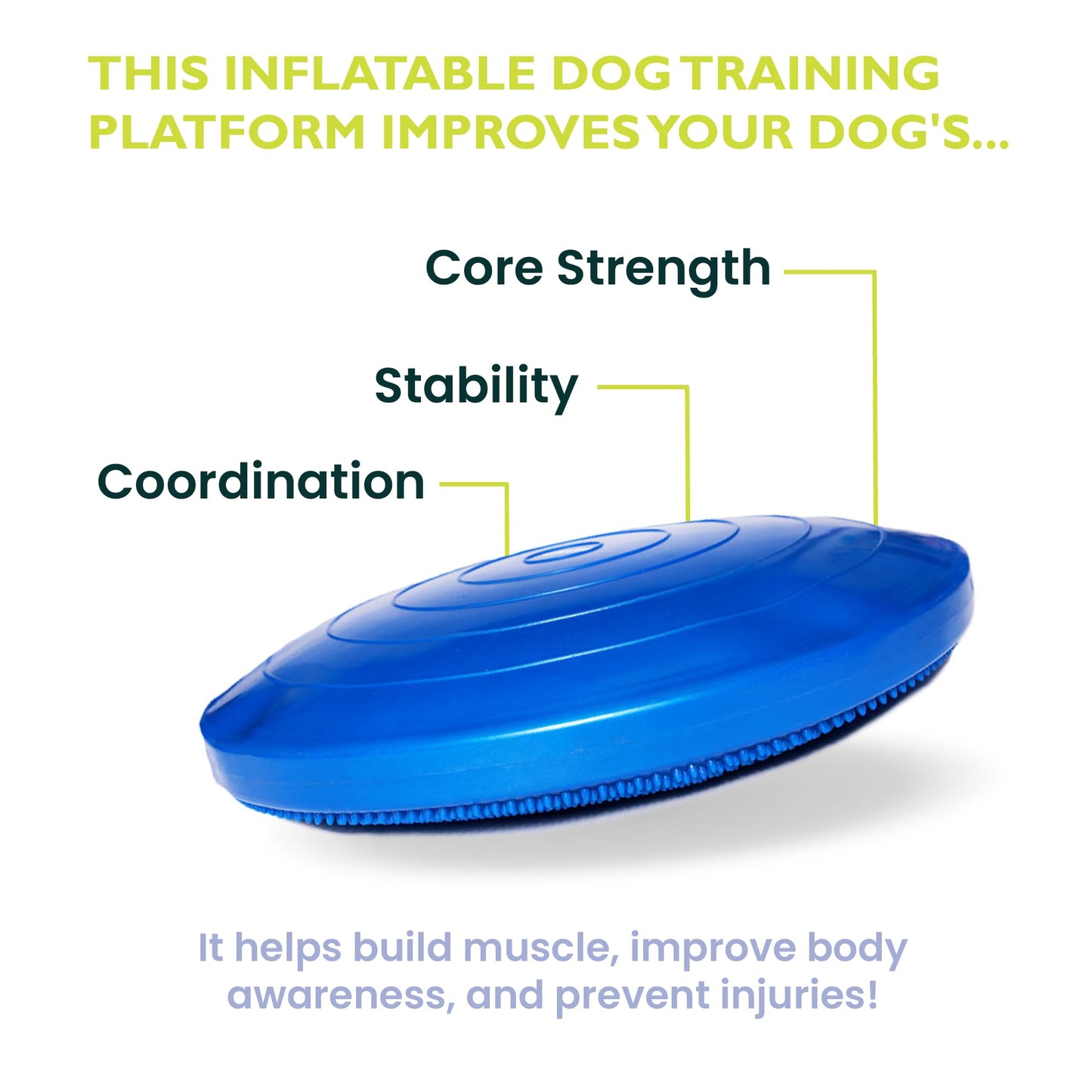 FitPAWS® Dog Balance Disc – 22”, Blue | Dog Exercise Equipment | Workout Tool for Strength, Core, Stability & Rehabilitation