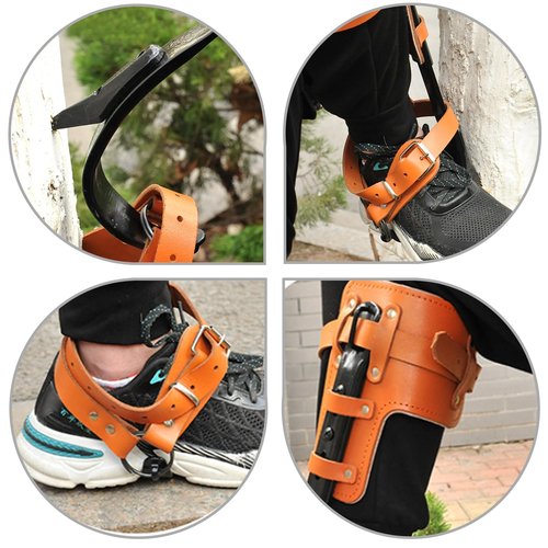 Tree Climbing Spikes,Upgrade Leather Tree Climbing Gear Set,Adjustable Tree Climbing Gear with Cattle Hide Leggings Straps,Tree Climbing Kit for Climbing Trees, Picking Fruit,Tree Trimming,Hunting
