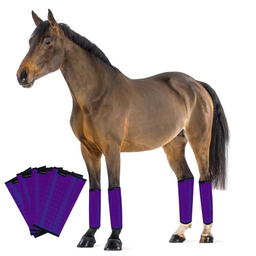 FOXLVDA Horse Fly Boots - Fly Boots for Horses Set of 4, Comfortable Horse Leggings, Mesh Material Design with Metal Support Bars, Equine Supplies for Reduces Stomping & Leg Fatigue (Purple, Large)
