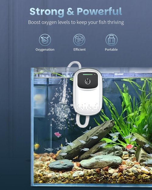 Pawfly Aerator for Fish, Portable Live Bait Pump, Rechargeable Battery Air Pump for 5-20 Gallon Bait Bucket, Adjustable Minnow Bucket Livewell Aerator for Outdoor Fishing and Fish Transport