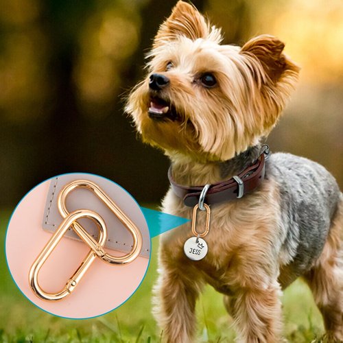 DAZEBRA 3pcs Oval Keyring Clips, Heavy Duty Spring Carabiner for Backpacks Purses Keys Bag Straps, Alloy Buckle Clasp for Hiking Camping Walking- Gold