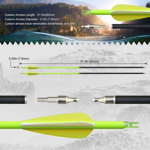 Bow Fishing Combo Kit Bowfishing Bow, Fishing Kit Multi Scenery Hunting Practice, Complete Accessories Reel Arrows 30lbs 40lbs (Black, 30lbs)