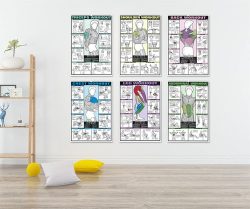 6PCS workout chart posters for a home gym， oil on canvas gym decor fitness dumbbell exercise motivational posters for home gym Exercise Charts Incl Triceps, Shoulder,Leg, Back,Chest, Abdominal workout