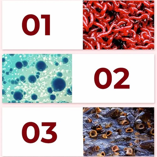 Universal Concentrated Red Worm Liquid Bait for Fishing Attractant, Natural Fish Lure with Redworm Scent and Attraction Enhancer for Freshwater and Saltwater, Trout, Cod, Carp, Bass, Catfish(1pc)
