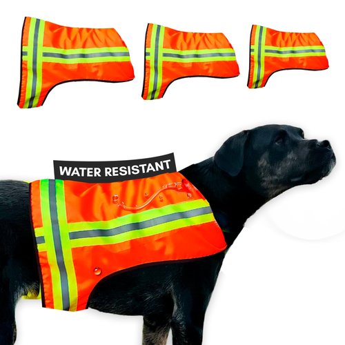 BUDDY GLOW Reflective Dog Vest – Fluorescent Orange | High-Visibility, Water-Resistant Safety Jacket with Adjustable Fit for Day & Night Walks, Hiking, Hunting, and Outdoor Use (Large)
