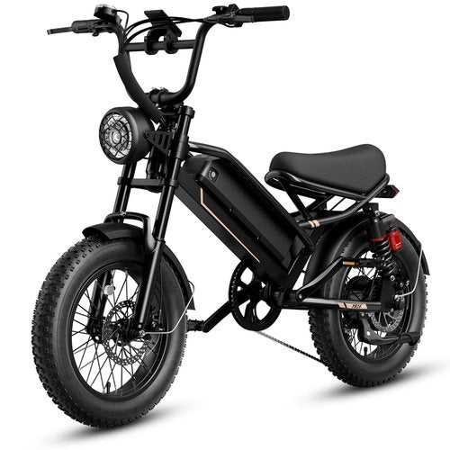 YOLOWAY Electric Bike for Adults, 1500W 28MPH Max 55 Miles Electric Motorcycle with 48V Removable Battery, 16'' Fat Tire Full Suspension, All-Terrain for Mountains, Snow, Sand, Road