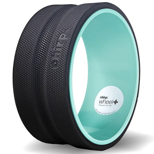 Chirp Wheel Foam Roller - Targeted Back & Neck Pain Relief, Muscle Massage, Trigger Point Therapy, High-Density Foam Tool for Physical Therapy, Stretching & Exercise, 500lbs Capacity, 10-Inch Mint