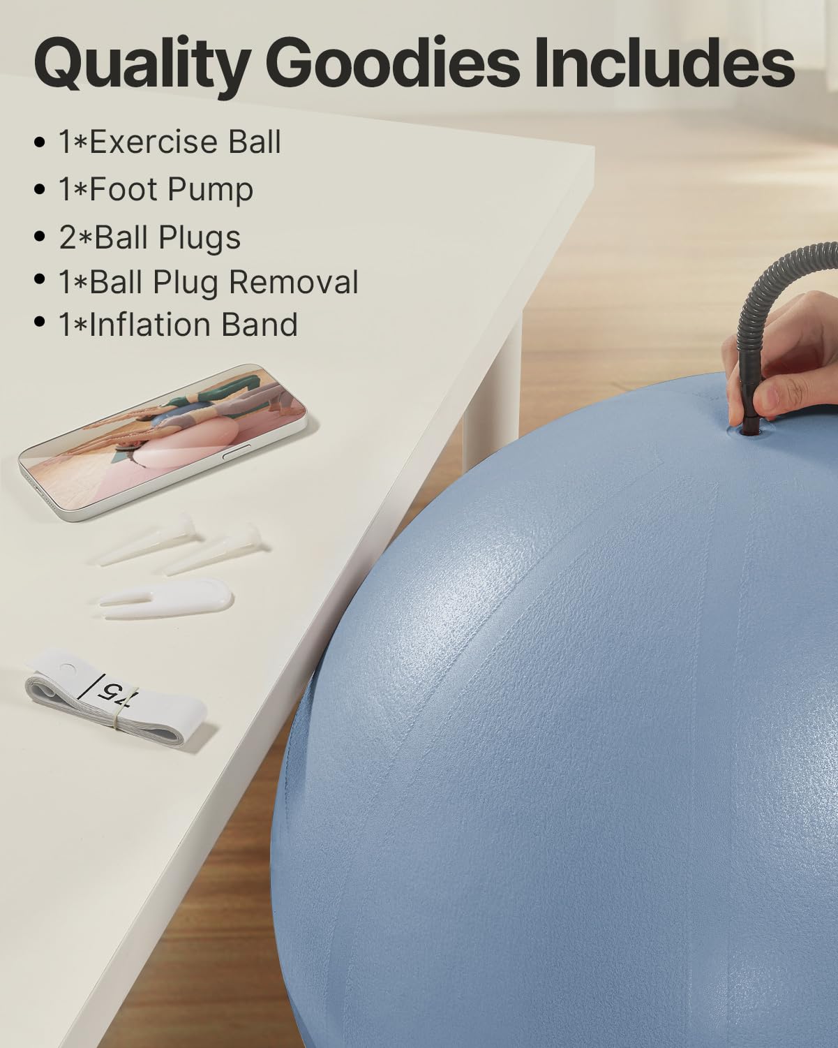 YOTTOY Anti-Burst Exercise Ball for Working Out, Yoga Ball for Pregnancy,Extra Thick Workouk for Physical Therapy,Stability Ball for Chair Fitness with Pump (Blue)
