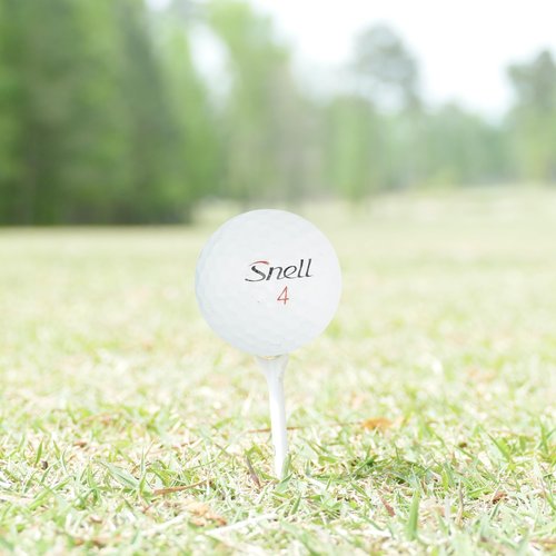 GolfBall Nut - 48 Used Golf Balls – Recycled Bulk Mix of Brands & Colors for Practice & Play – Good Condition – Includes Mesh Bag – Budget-Friendly & Sustainable Golf Balls
