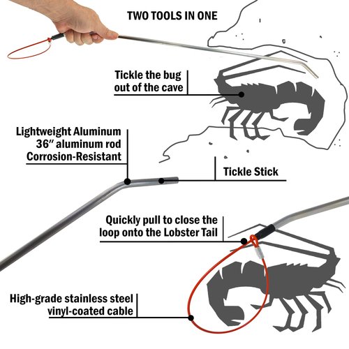 SPEARFISHING WORLD Aluminum Lobster Tickle Stick and Lasso Noose Loop All in One (2-Pack)