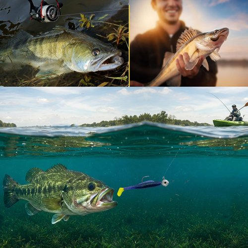 DAMIDEL 50Pcs/Box Swimbait Jig Heads Fishing Hooks with 3D Eye，4 Sizes（1/4oz.3/8oz,1/5oz. 1/8oz Mixed，Automatic stabilization Head Design/Luminous,Bass Freshwater&Saltwater