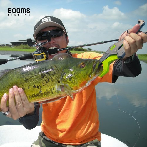 Booms Fishing G05 Fish Lip Gripper Saltwater, 9.4" Plastic Catfish Grippers Pliers, Fish Grabber Tool with Lanyard, Fish Grips for Kayak Fishing Accessories, Great Fish Holder for Caught Fish, Green