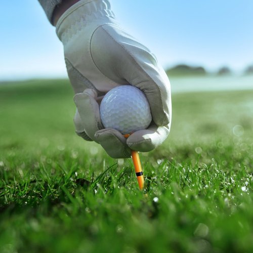 EAGLE WORK Plastic Golf Tees with Thickened Shaft, Pack of 150 (3-1/4" & 1-1/2"), 4-Prongs Head Design to Reduce Friction & Side Spin, The Ultimate Gift for Golfers