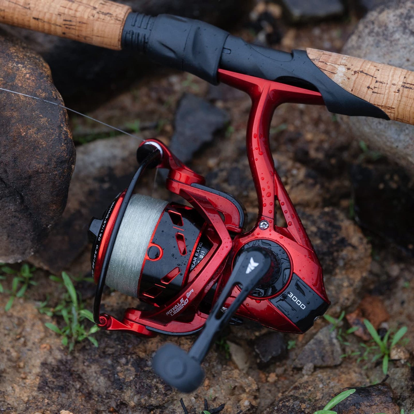 KastKing Royale Legend Fishing Reel - 5.2:1/6.2:1 Gear Ratio Spinning Reel, Up to 22 Lbs of Carbon Drag, 5+1/7+1 Stainless Steel Ball Bearings, Graphite Frame, Asymmetric Spinning Reel Rotor Design