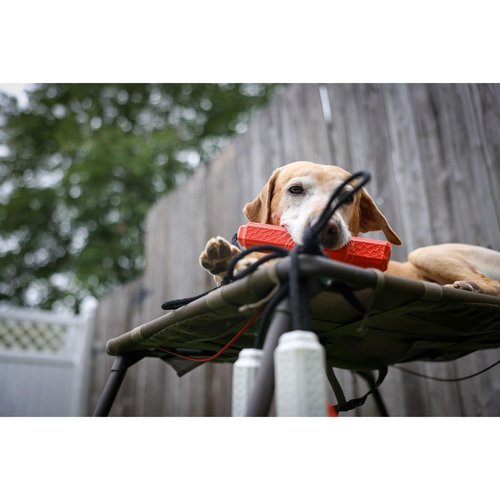 Momarsh Final Stand Dog Adjustable Training Platform | Hunting Stand | Elevated Pet System for Place, Agility & Steadiness | Waterfowl Duck Trainer System | Mesh Bottom, Mud Feet | 150 lb Capacity