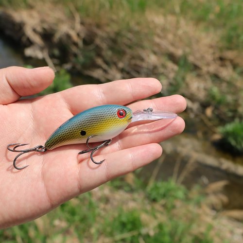 𝗘𝗫𝗔𝗨𝗥𝗔𝗙𝗘𝗟𝗜𝗦 Fishing Gear Fishing Lure Diving Crankbait Lures for Saltwater Freshwater,swimbaitsfor Bass Trout Crappie Walleye Pike Bluegill Salmon Fishing Gifts for Fisherman