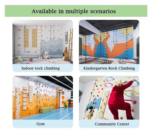 OneGrifN Climbing Kit,Climbing Holds, Teens Adults Resin Rock Climbing Holds with Screws, 10 Pcs Premium Screw-On Beginners Climbing(Plank Installation)