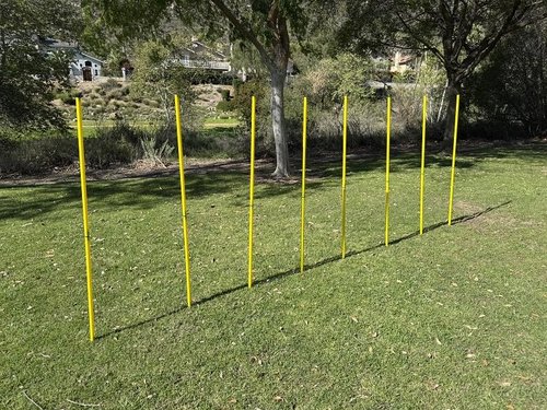 BlueDot Soccer Agility Poles | 6ft Collapsible Training Poles (8pc) for Speed, Agility, Outdoor Games & Exercise Soccer Training Equipment for Turf, Field, Court – with Metal Ground Spikes