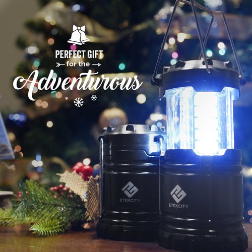 Etekcity Lantern Camping Essentials Lights, Led Flashlight for Power Outages, Survival Gear and Supplies for Emergency, Hurricane Preparedness Items , Battery Operated Lamp, 2 Pack, Black