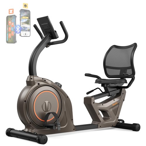 Niceday Recumbent Exercise Bike, Indoor Recumbent Exercise Bike for Home with 400LBS Capacity, High-end Stationary Bike with Smart Bluetooth