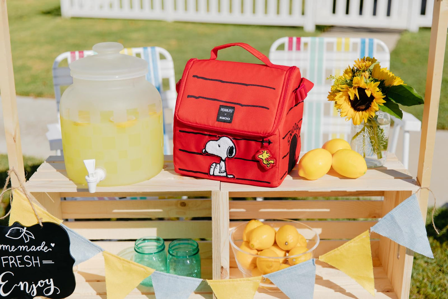 Igloo Snoopy’s House 16-Can Lunch Pail