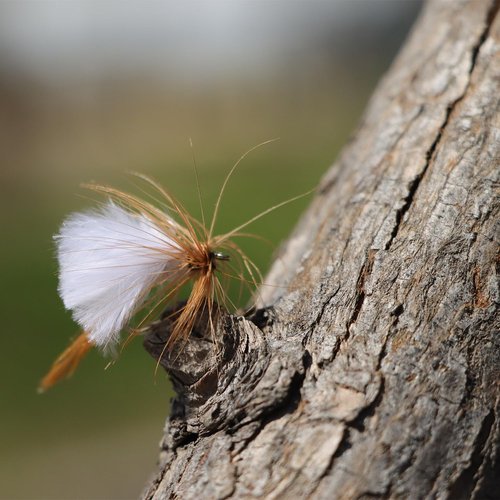 EXAURAFFLIS Fly Fishing Flies Assortment with Waterproof Fly Box 120pcs Dry Wet Nymph Streamer Flies, Lures for Trout Bass Panfish Salmon Fishing