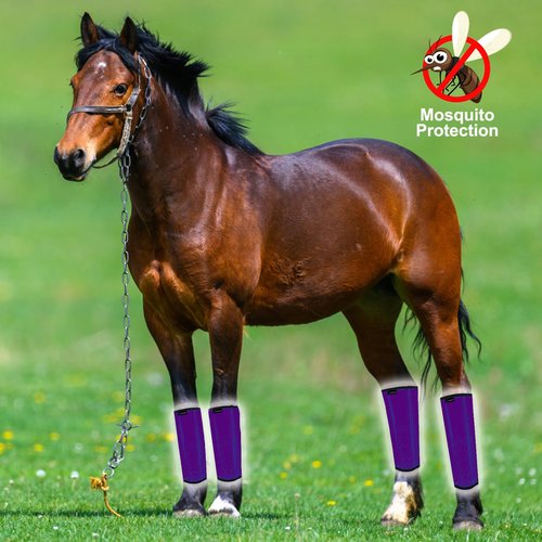 FOXLVDA Horse Fly Boots - Fly Boots for Horses Set of 4, Comfortable Horse Leggings, Mesh Material Design with Metal Support Bars, Equine Supplies for Reduces Stomping & Leg Fatigue (Purple, Large)