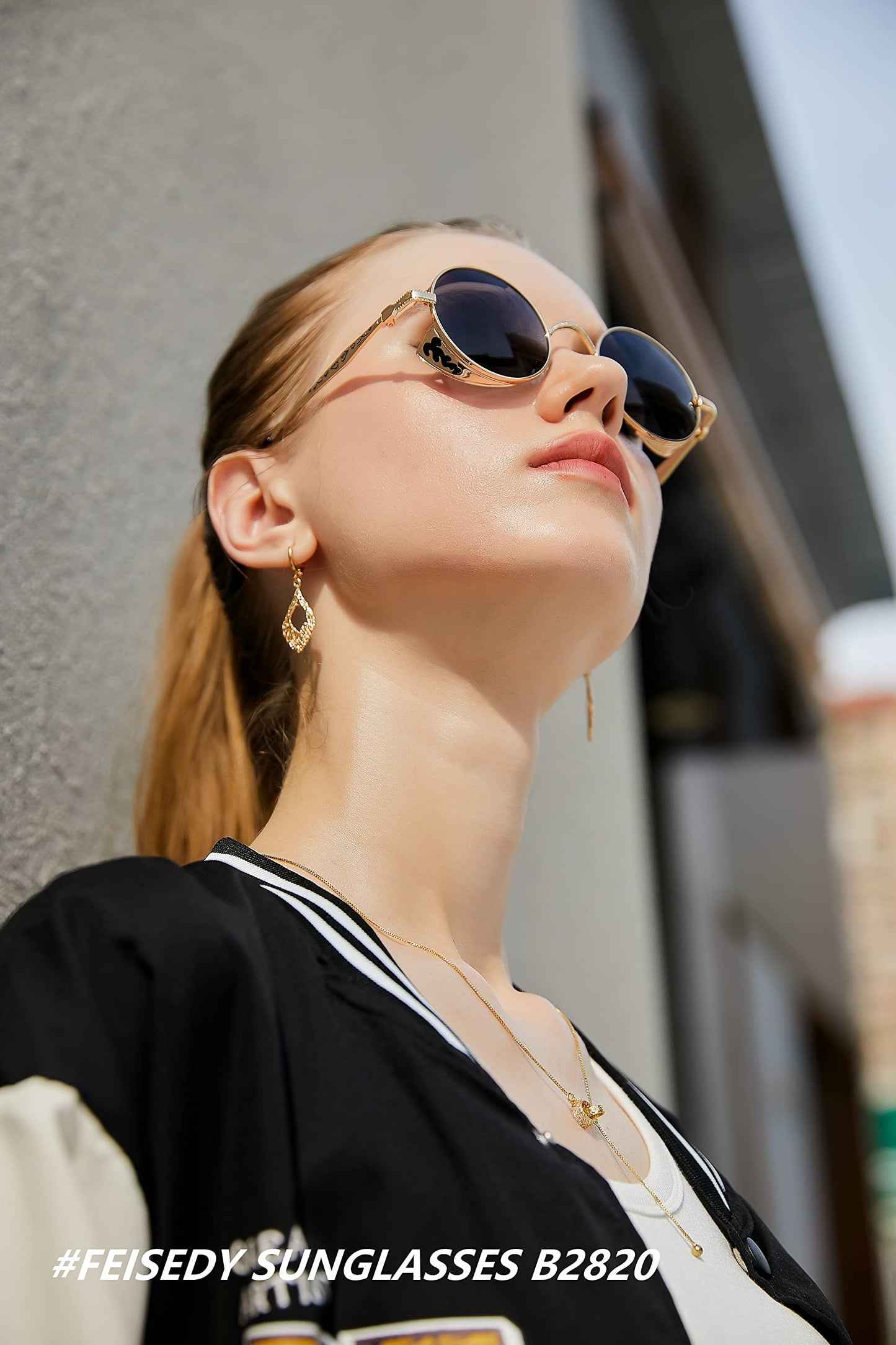 FEISEDY Retro Steampunk Sunglasses for Men Women, Round Metal Frame Gothic Vintage Style B2820