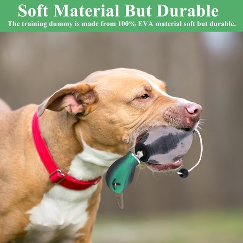 FIONUPI 3 Pcs Duck Dummy Dog Pheasant Toy for Outdoor Training Tools Duck Bumper Retriever Dead Dummy Recognition Trainers Toy