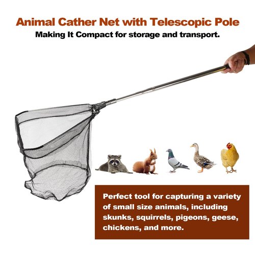 Smarkey Chicken Catching Net, Animal net with Extendable 46 Inch Stainless Steel Pole, Chicken Net for Chickens, Ducks, Birds Cats, Dogs，Fishnet, Chicken Catcher for Poultry Supplies