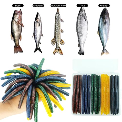 Wacky Worm Bass Lures Kit: 40PCS 5" Senko Worms with Storage Box | Slow-Sink Fishing Baits for Freshwater Saltwater