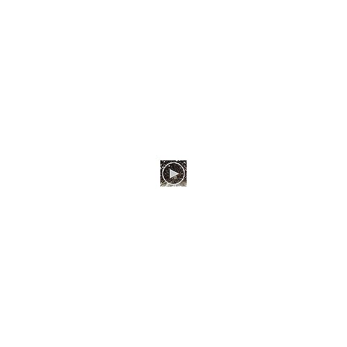 Giro Axis/Ella Snow Goggle Replacement Lens Vivid Onyx