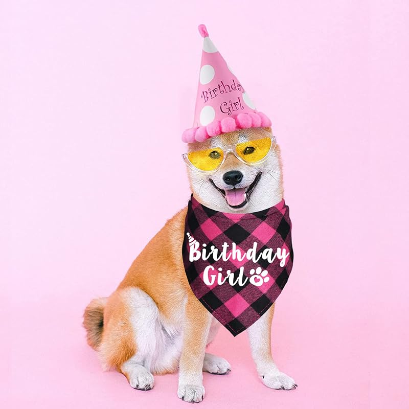Birthday Boy/Girl Buffalo Plaid Dog Bandana - Blue & Pink (Variation of THIS listing)