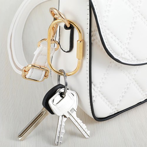 4 Pcs Gold Brass Key Rings Brass Screw Lock Keychains Carabiner Keychain Clip Simple Style Car Keychain Purse Bag Charms for Door Cabinet Cars Keys Bags Men Women 2.36 × 1.26 Inches