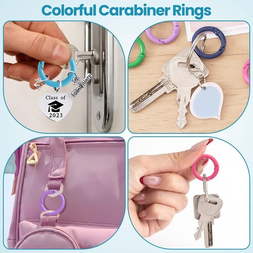 Winsyison 34pcs Spring O Rings, Colorful Round Spring Snap Keyring, Metal Carabiner Clips for Keychain Handbag Purse Dog Collars Leashes Lanyard DIY Crafts- 17 Colors