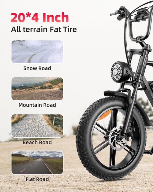 AMYET V9-G60 Peak 1500W Ebike, 48V 20Ah(960WH) Removable Battery, 72Miles &32MPH,20" Fat Tire Dirt Bike,7 Speed Gears,Dual Shock Absorber, Adults Electric Bike for Mountains, Snow, Sand, Road(Black)