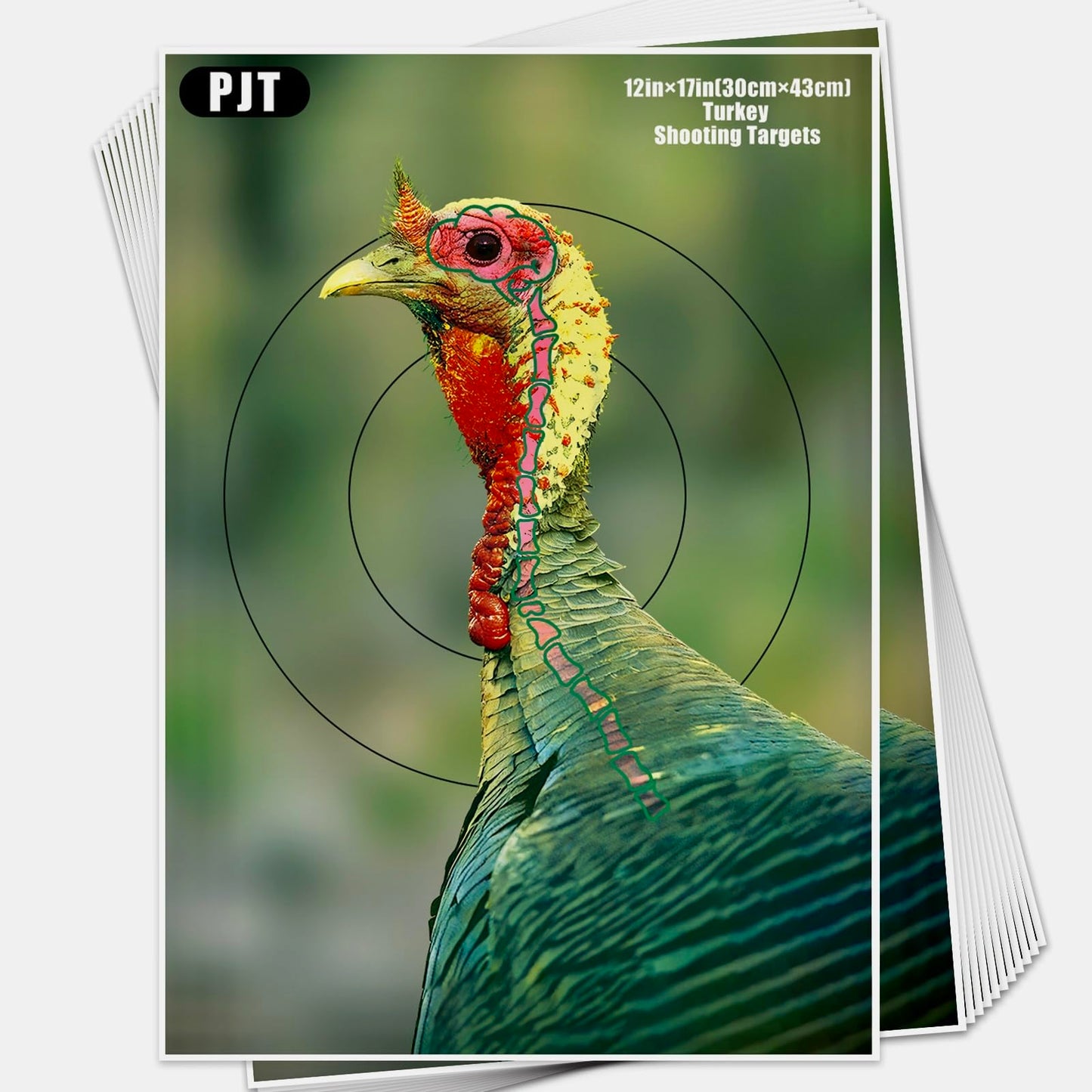 PJT 12 Pack Turkey Targets for Shotgun Patterning, 12"x17" Fluorescent Splatter Turkey Target with Head & Neck Kill Zone for 30–50 Yard Pattern Testing