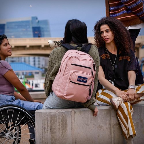 JanSport Laptop Backpack - Computer Bag with 2 Compartments, Ergonomic Shoulder Straps, 15” Laptop Sleeve, Haul Handle - Lavender Ash