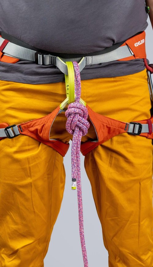 EDELRID Jay Climbing Harness Large Sailor Blue