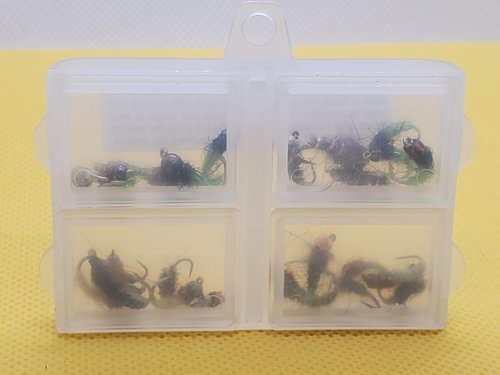 Caddis Nymph/Caddis Larva Selection, Bead Head Caddis Nymph, Caddis Fly