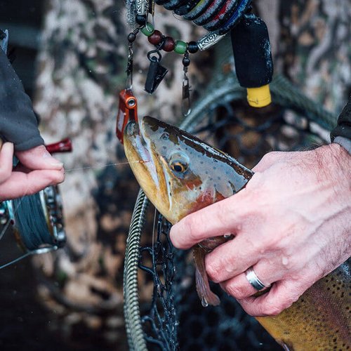 CORTLAND Ultra Premium Fluorocarbon Durable Flexible Abrasion-Resistant Trout Tippet with Plasma Finish for Freshwater | Nymphing/Dry Fly Fishing/Streamer Fishing, 30 YDS, 5X - 5.7 LB