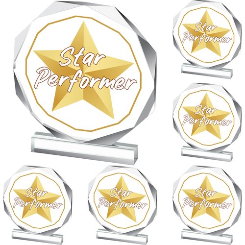 CroBlissful 6 Pcs Trophy Award 4.72 x 4.72 Inches Acrylic Trophy Plaques Awards for Kids Adult Team Participation Gift Prizes (Star Performer)