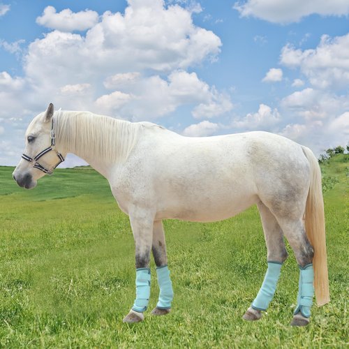 TARFEPA Adjustable Horse Fly Boots Set of 4, Equine Leg Protection Reduce Stomping, Breathable Mesh Fly Boots for Horses, Horse Leggings Leg Guards - Aqua Blue - Full