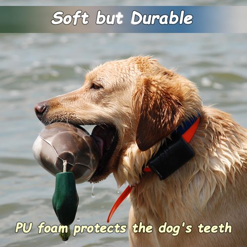 fingig 2 Pcs Duck Dummy Bumper Toys for Hunting Retriever Dog Training, Dog Retriever Outdoor Training Toy ，Hunting Duck Recognition Trainers, Foam Pet Interactive Toys